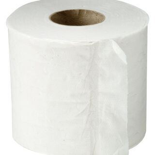 Toilet Paper 2ply 400sheet unwrapped - PureEco