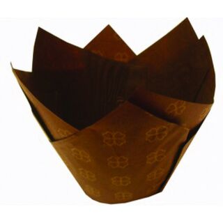 Medium Muffin Wrap- Gold Clove - Confoil