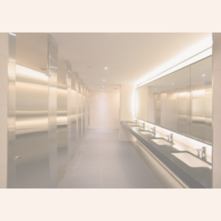 Bathroom Cleaners