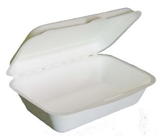 Sugar Cane Rectangular Clamshell - Green Choice