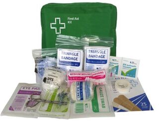 ECONOMY Lone Worker / Vehicle Kit